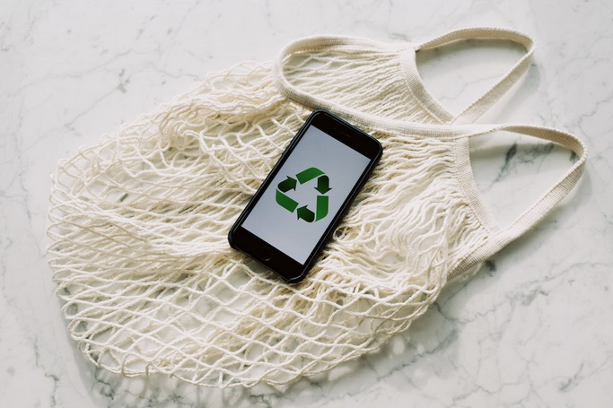 Pro Tips to Get Started With Sustainable Living