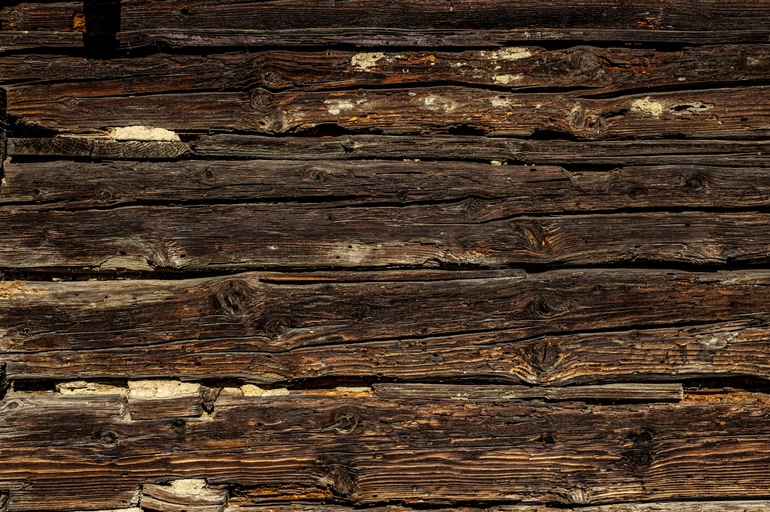 wood damage